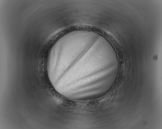 X0000091060870200708201343