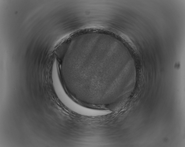 X0000091060872200708201343