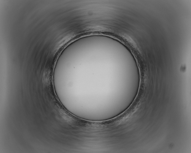 X0000091060873200708201343