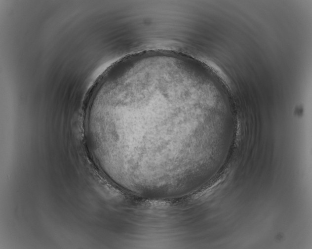 X0000091060878200708201343