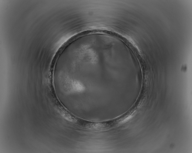 X0000091060879200708201343