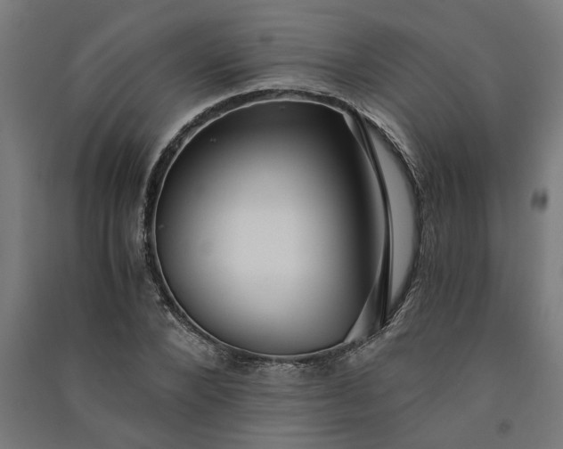 X0000091060880200708201343