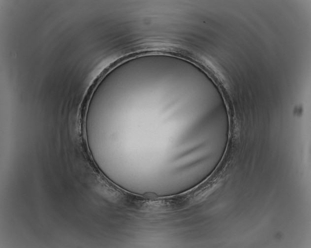 X0000091060883200708201343