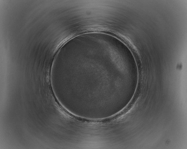 X0000091060889200708201343