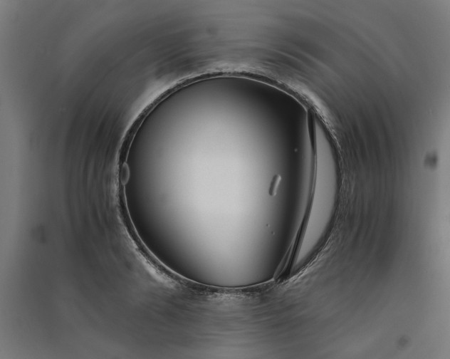 X0000091060894200708201343