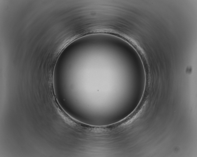 X0000091060897200708201343