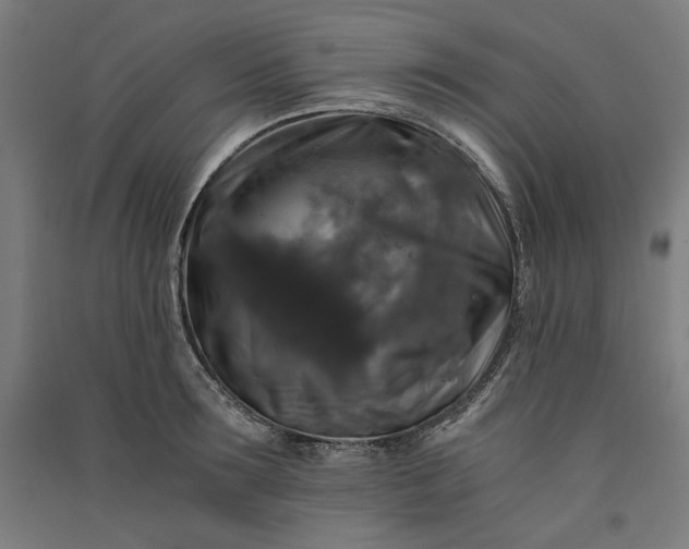 X0000091060899200708201343