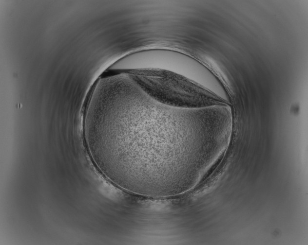 X0000091060900200708201342