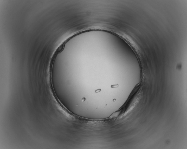 X0000091060902200708201342