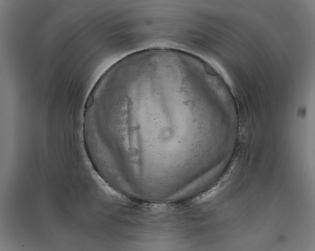 X0000091060903200708201342