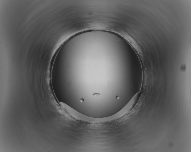 X0000091060904200708201342