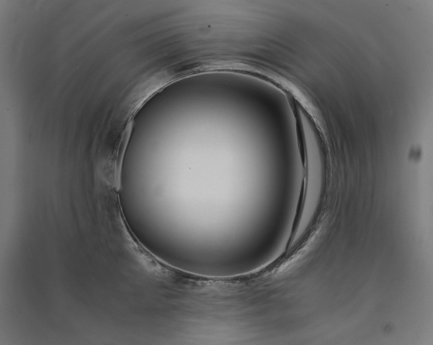X0000091060905200708201342