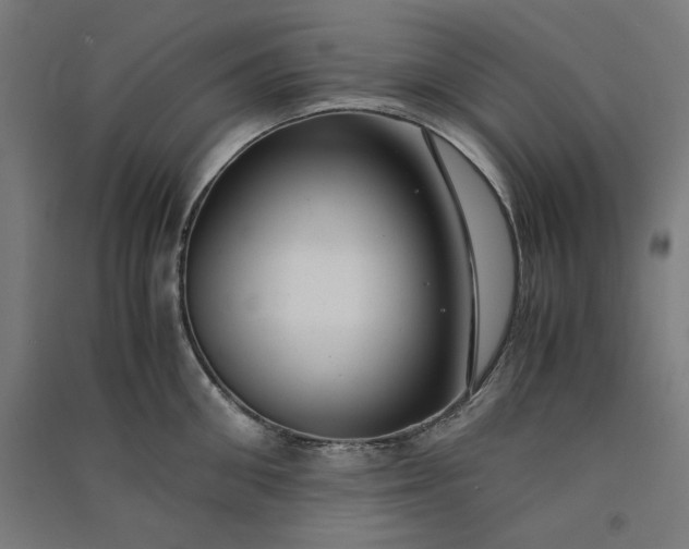 X0000091060906200708201342