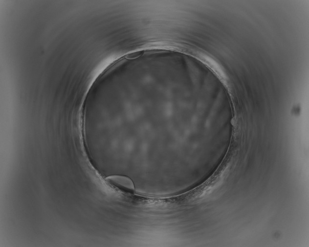 X0000091060907200708201342