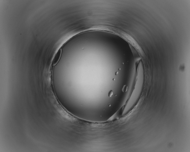 X0000091060908200708201342