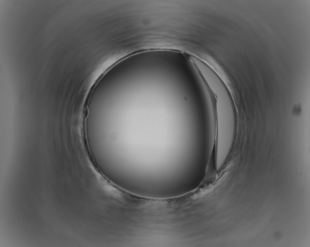 X0000091060909200708201342
