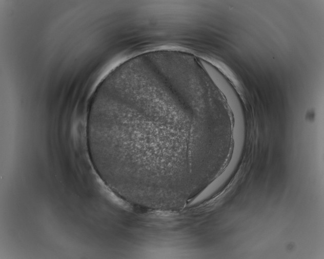 X0000091060910200708201342