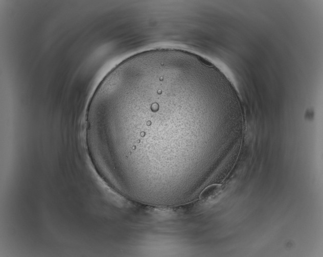 X0000091060911200708201342