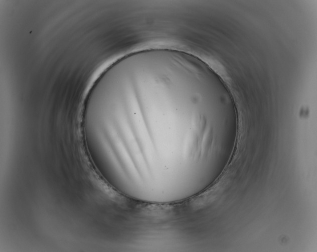 X0000091060912200708201342