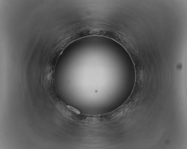 X0000091060914200708201342