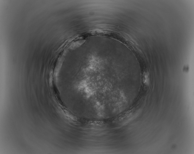 X0000091060915200708201342