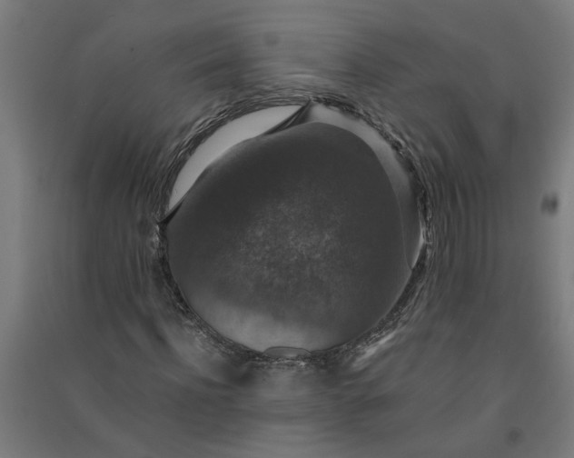 X0000091060916200708201342