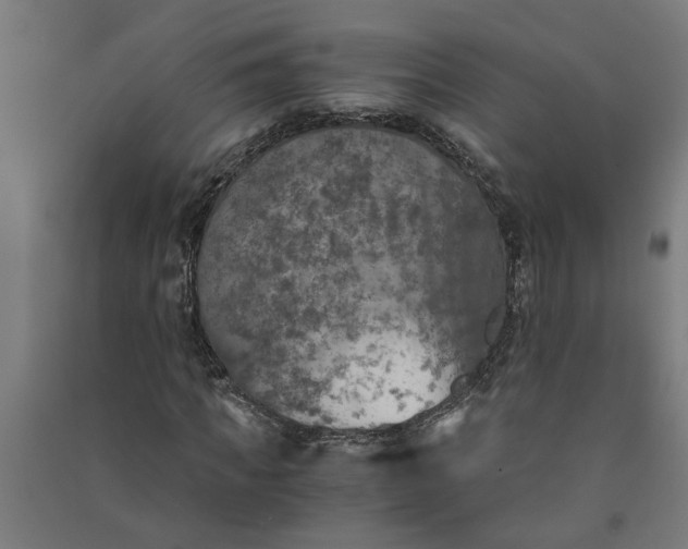 X0000091060917200708201342