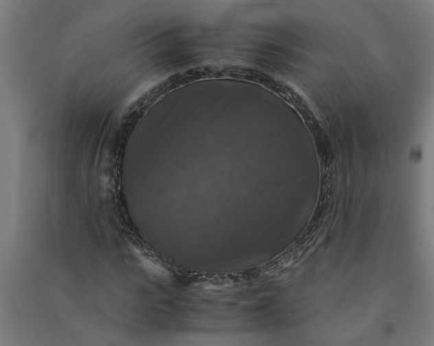 X0000091060919200708201342