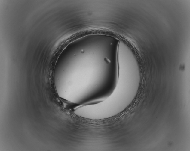 X0000091060920200708201342