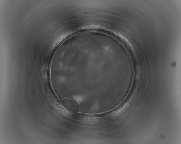 X0000091060921200708201342