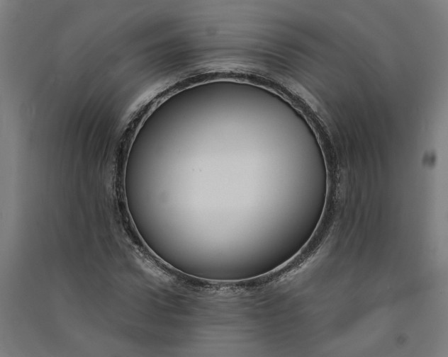 X0000091060922200708201342