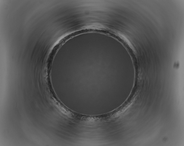X0000091060923200708201342