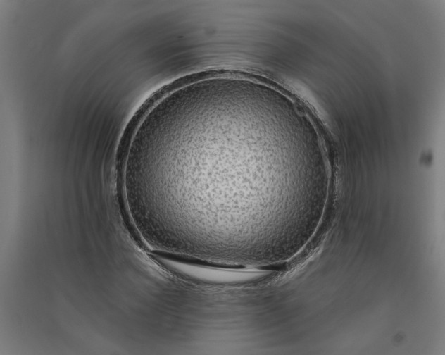 X0000091060924200708201342