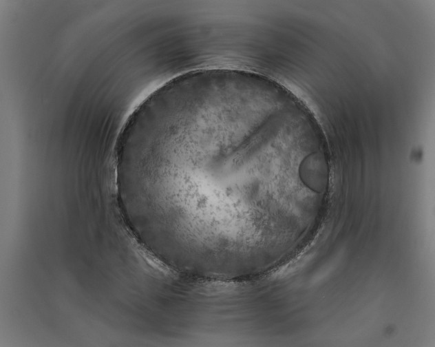 X0000091060925200708201342