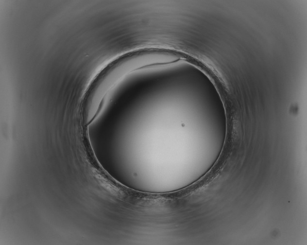 X0000091060926200708201342