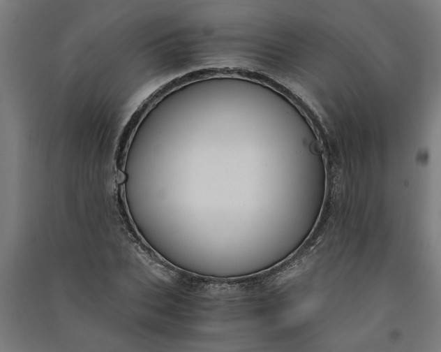 X0000091060927200708201342