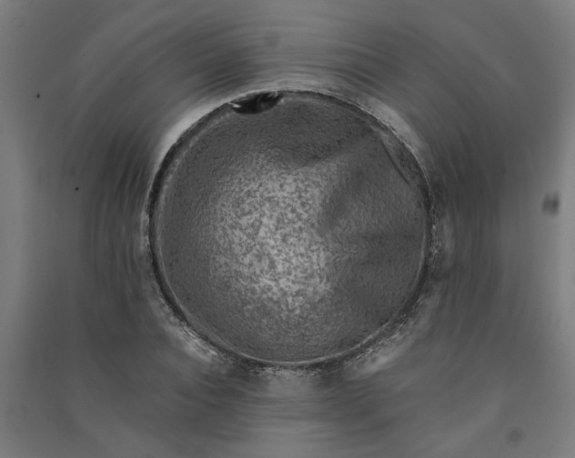 X0000091060928200708201342