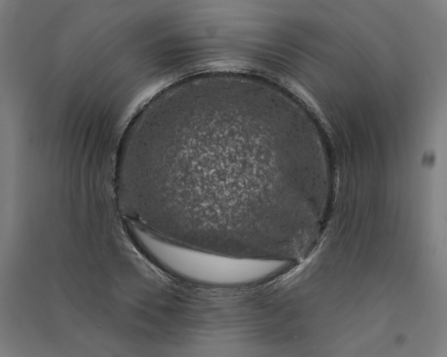 X0000091060930200708201342