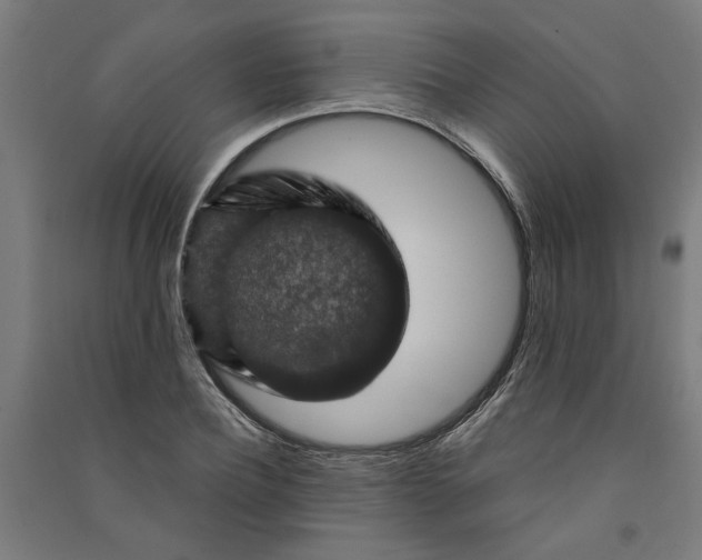 X0000091060932200708201342