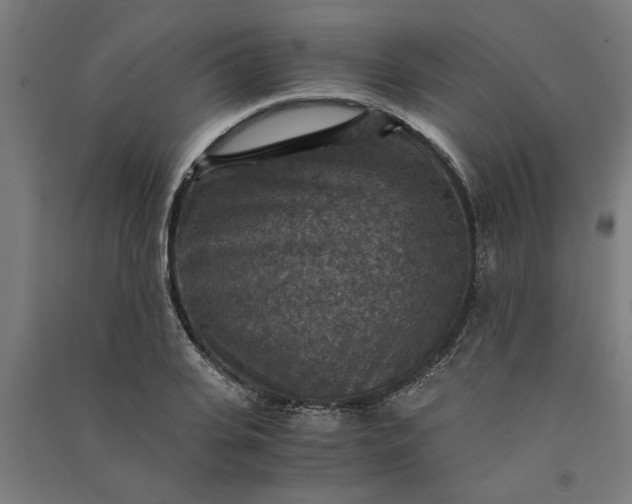 X0000091060935200708201342