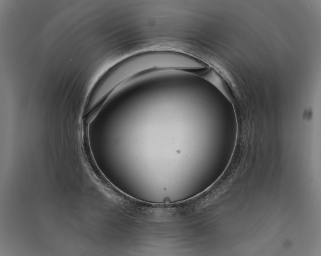 X0000091060936200708201342