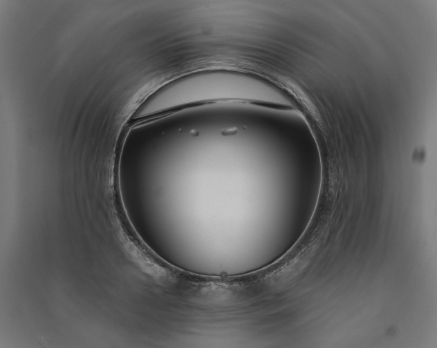 X0000091060938200708201342