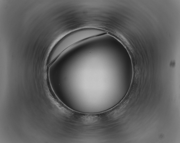 X0000091060939200708201342