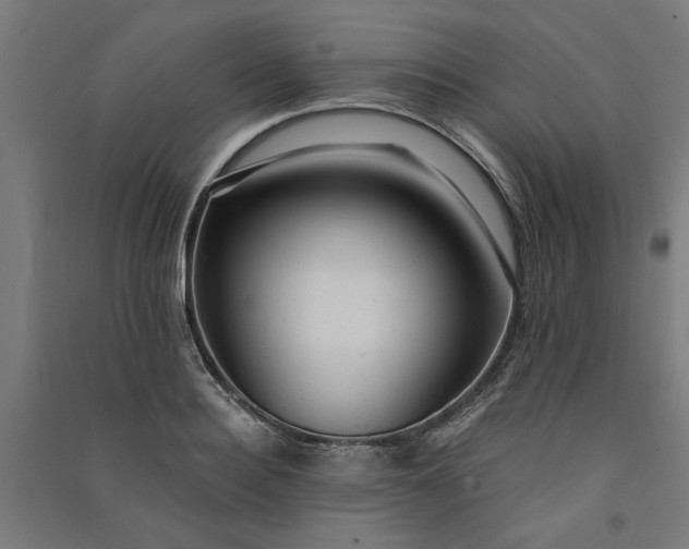 X0000091060940200708201342