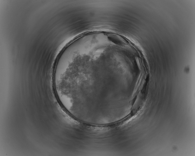 X0000091060941200708201342