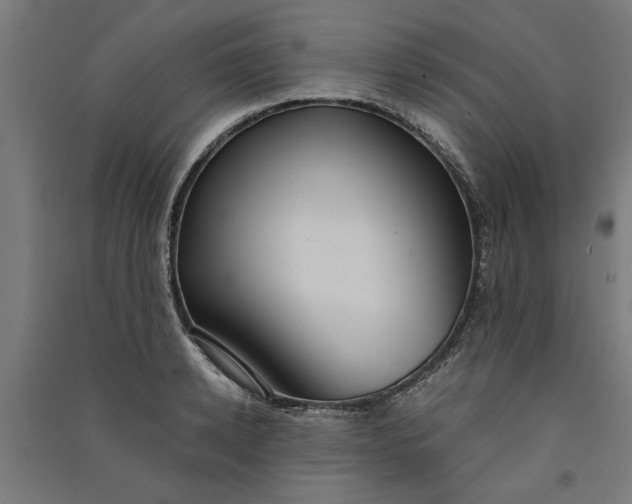X0000091060942200708201342