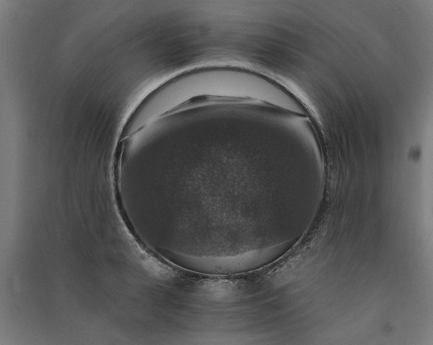 X0000091060943200708201342