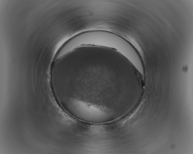 X0000091060944200708201342