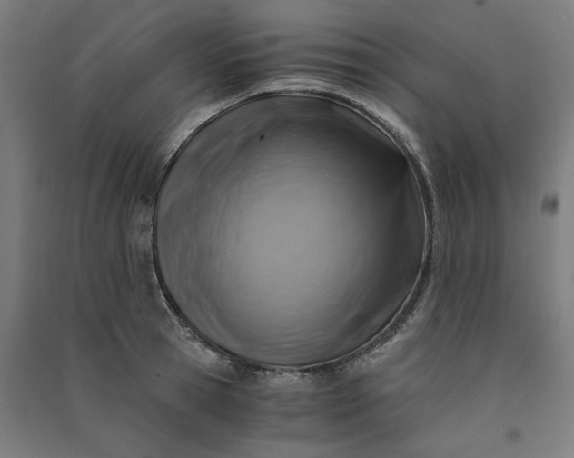 X0000091060945200708201342