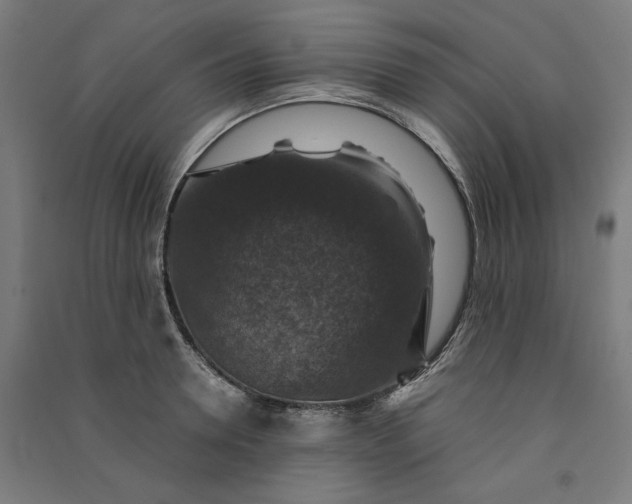 X0000091060946200708201342